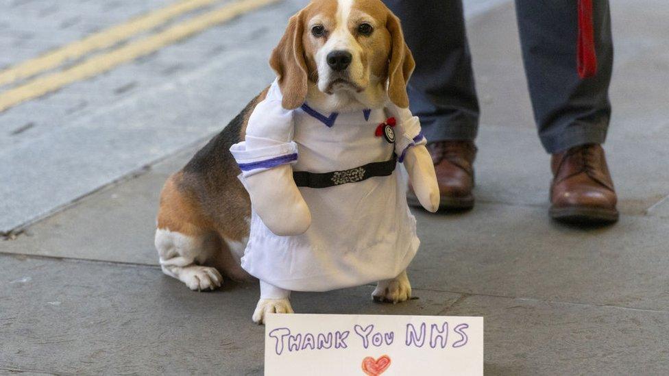 A dog owner and his dog show their support for National Health Workers workers taking part in the Clap For Carers during the new type of coronavirus (COVID-19) pandemic in London, United Kingdom on April 16, 2020.