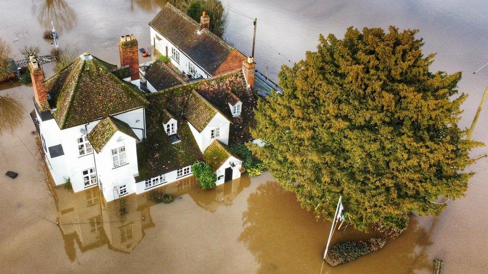 A pub and a large tree sit in flood water