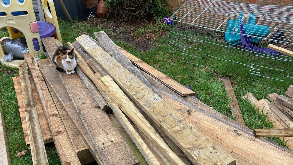 Piles of wood in a garden