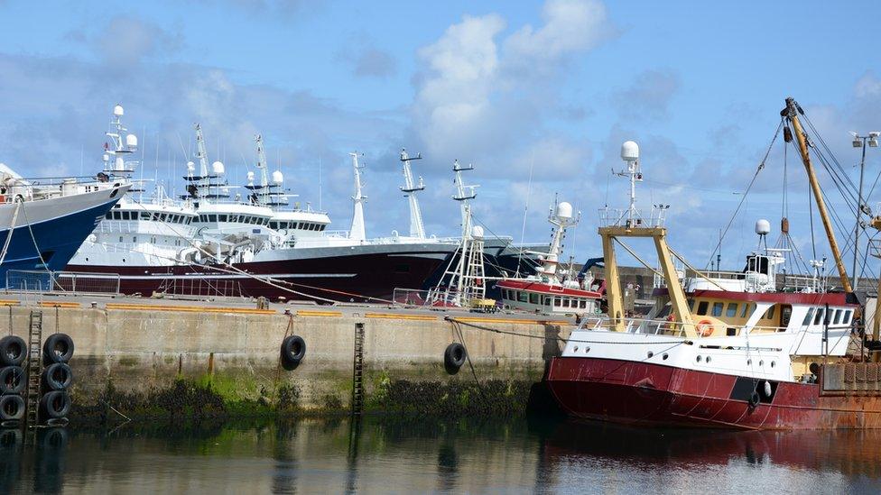 Large fishing boats