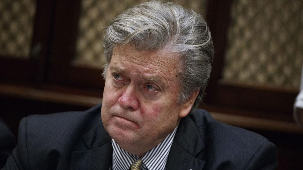 Steve Bannon