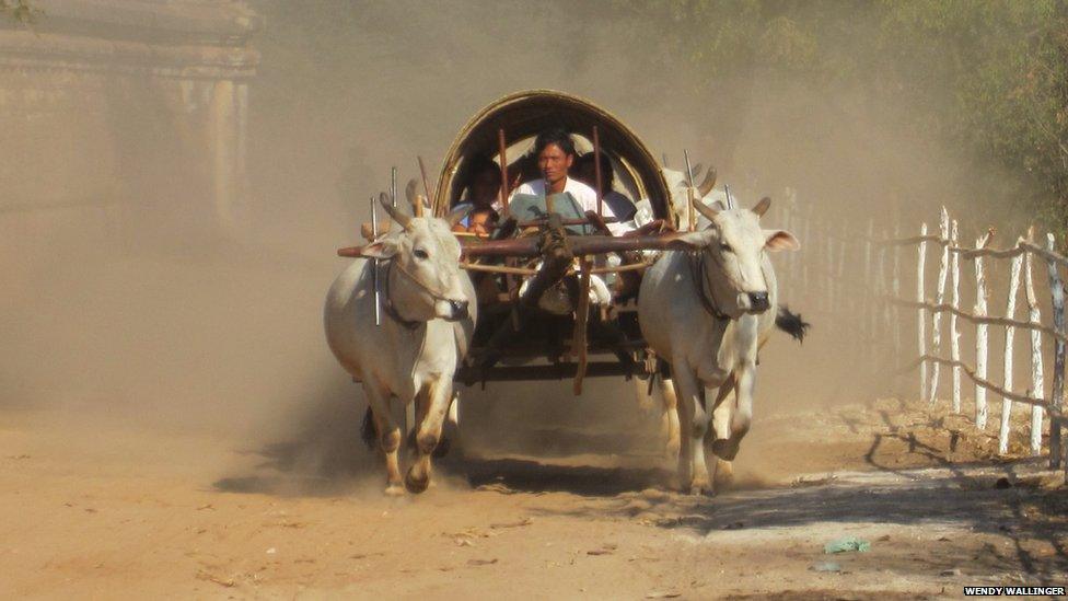 Cart driven on a dusty road