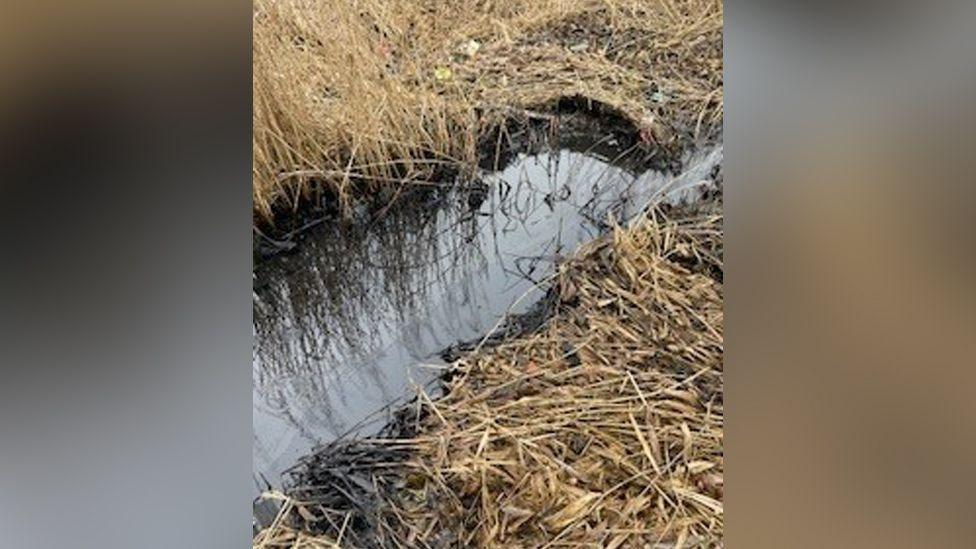 Culvert with grass either side showing black discolouration to water