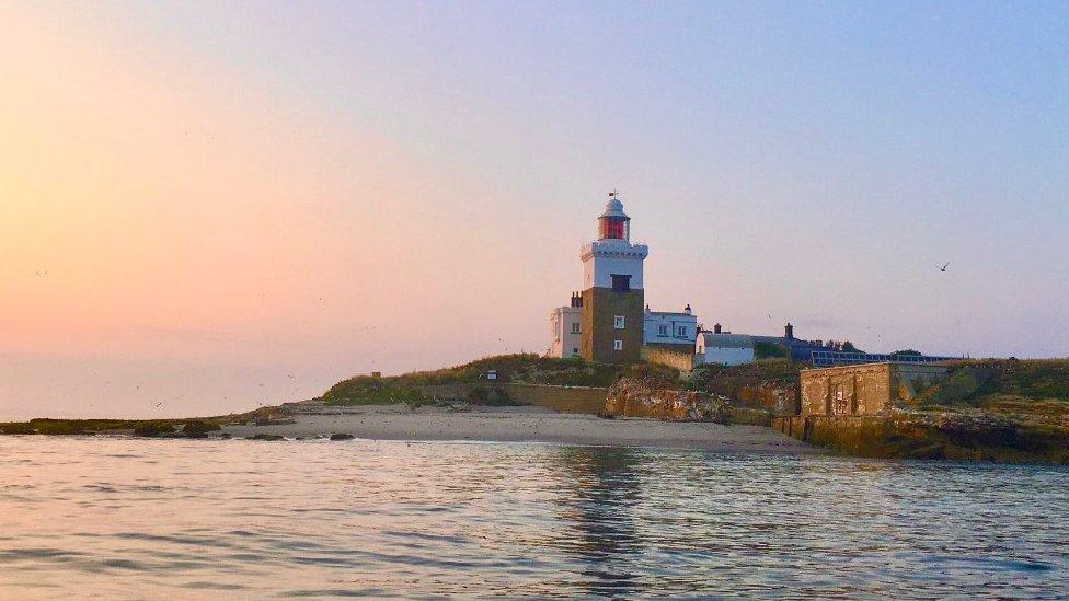 Coquet Island