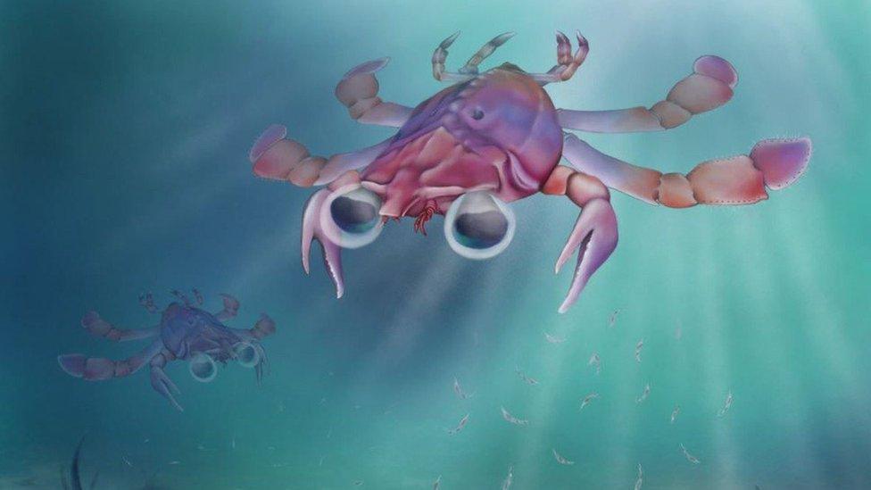 Artist impression of crab