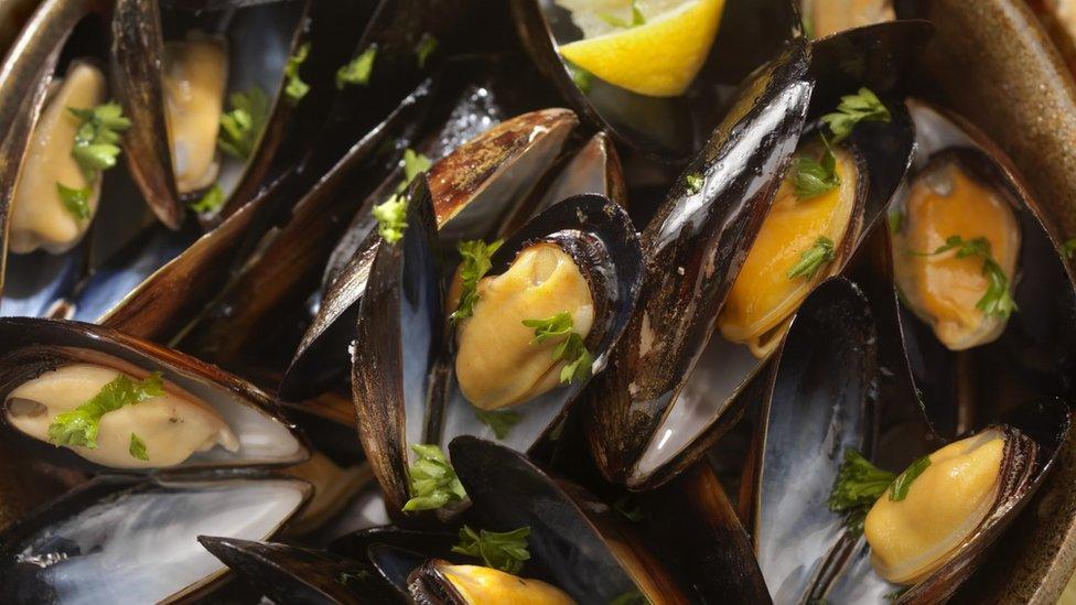 Steamed mussels