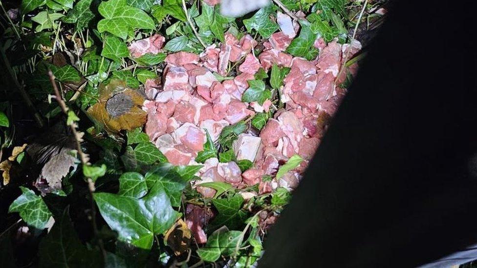 Pile of raw meat abandoned in Reddish, Stockport