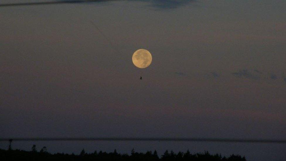 A picture of the Harvest Moon in Northbrook, Oxfordshire