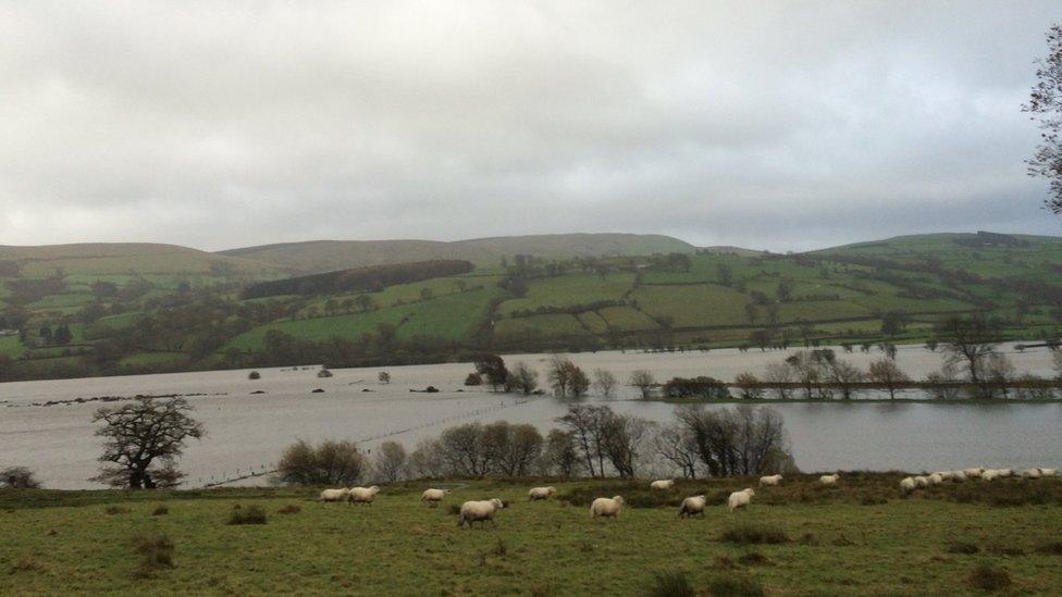 Flooded fields in llanuwchllyn, Bala, Llyn Tegid