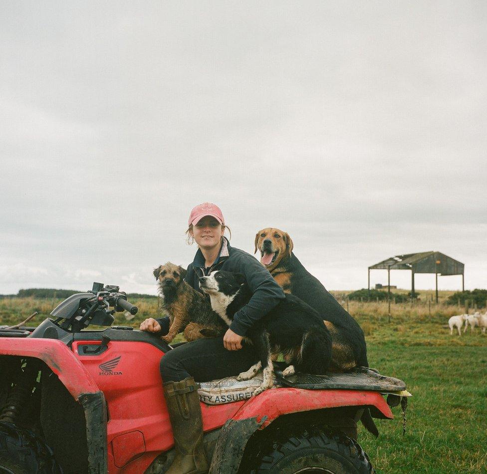 Hannah, a shepherd, with her three working dogs near Chatton in Northumberland