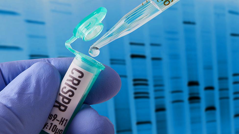 Crispr schematic Image