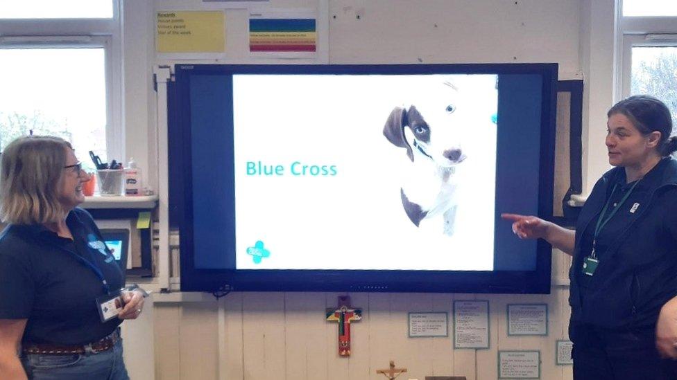 Blue Cross dog care lesson