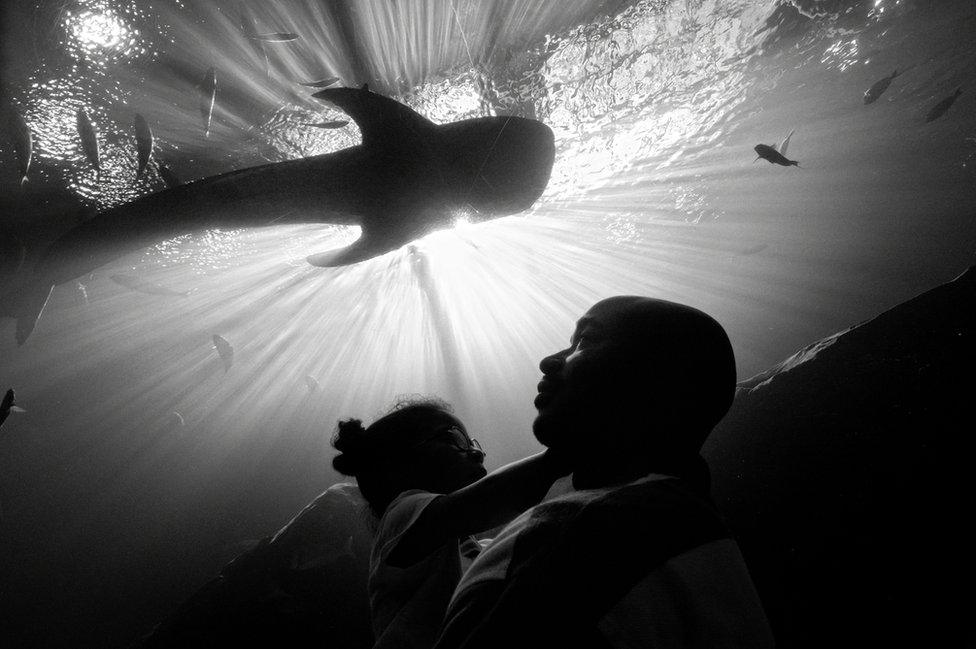 Carlos and Selah at the Georgia Aquarium. Atlanta