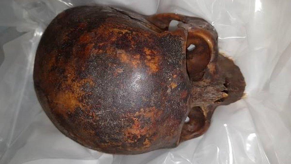 One of the recovered skulls (not The Crusader)