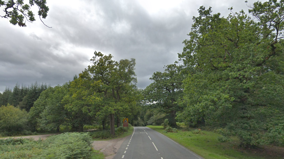 Road through the Forest of Dean