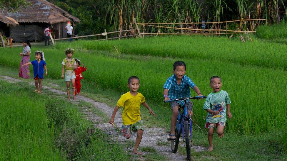 Thai children in a rice field