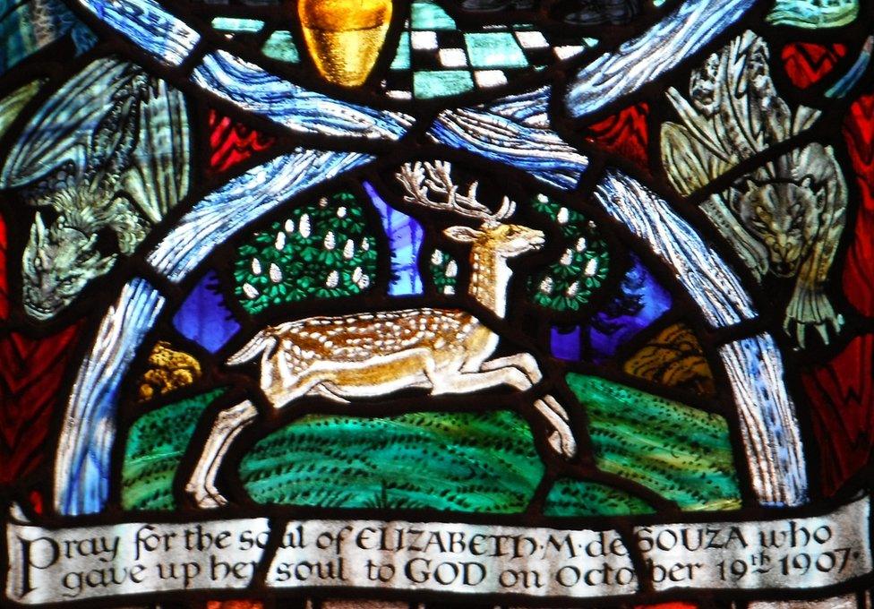 A deer in the stained glass window at Shrewsbury Cathedral