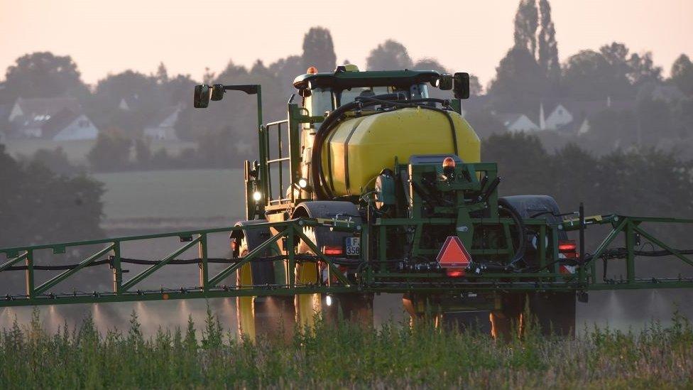 A French farmer sprays glyphosate herbicide "Roundup 720" made by agrochemical giant Monsanto, in northwestern France, in a field of rye, peas, faba beans, triticals and Bird's-foot trefoil, on September 16, 2019.