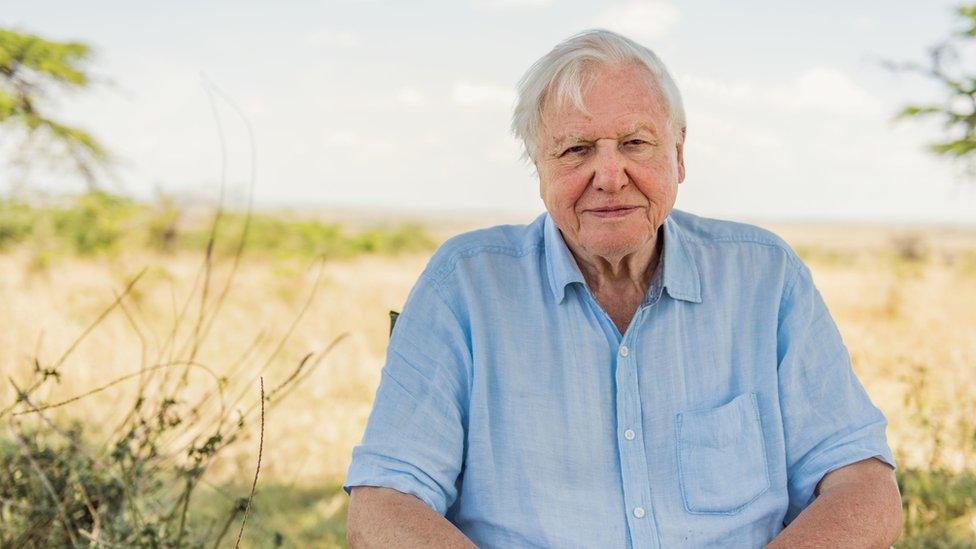 David-attenborough