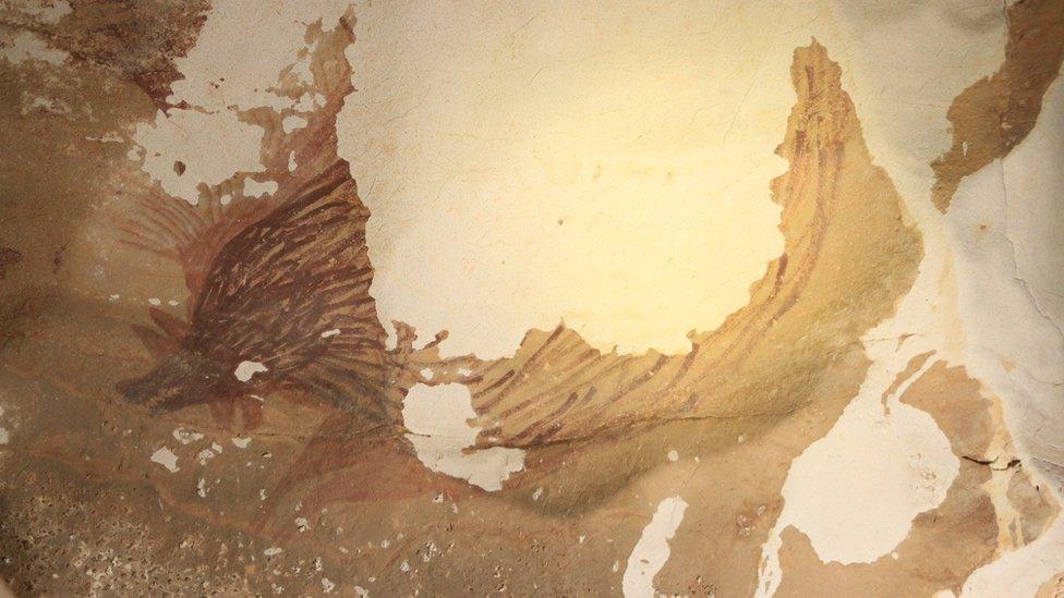 Ancient Indonesian cave painting degrading because of climate change