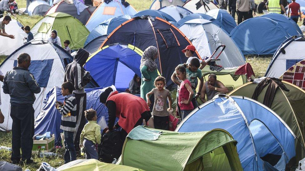 Refugees camped near Serbia's border with Hungary - 17 September