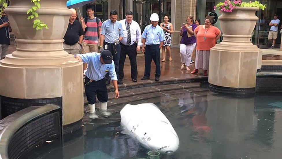 People attempt to retrieve the robot