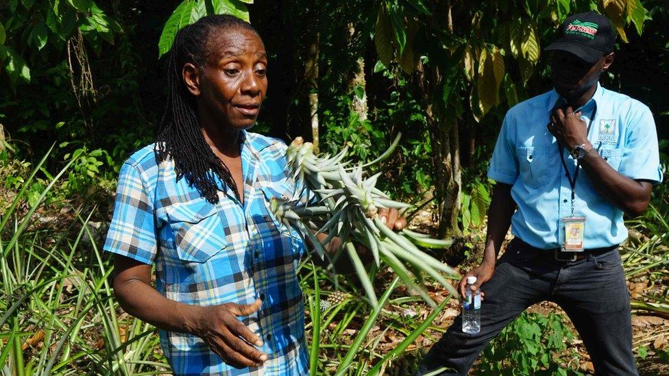 Denise Reid holds up one of the pineapples she has planted