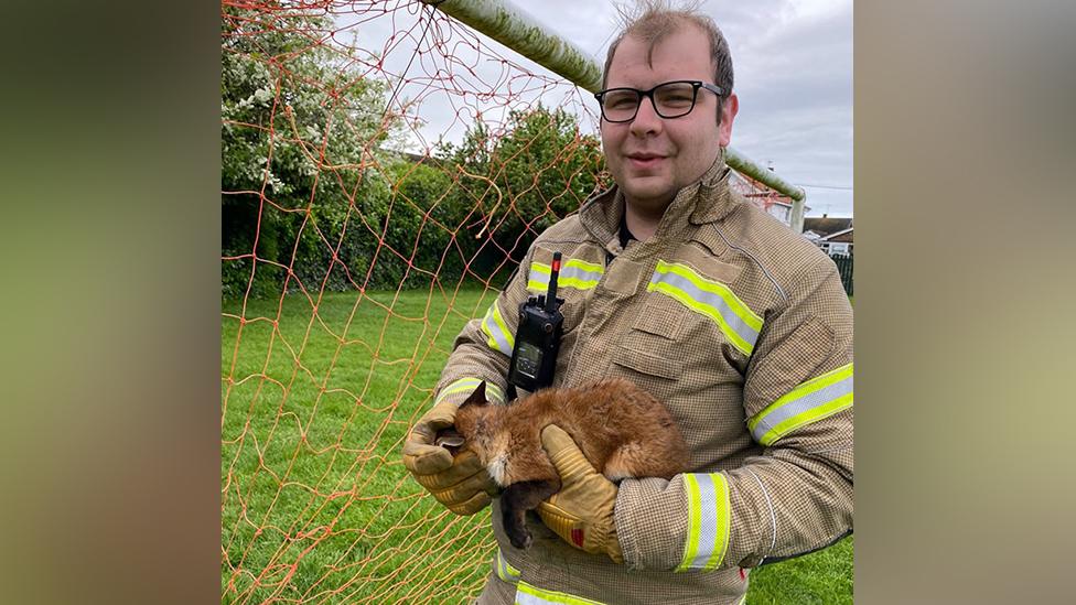 Fire officer holding a fox