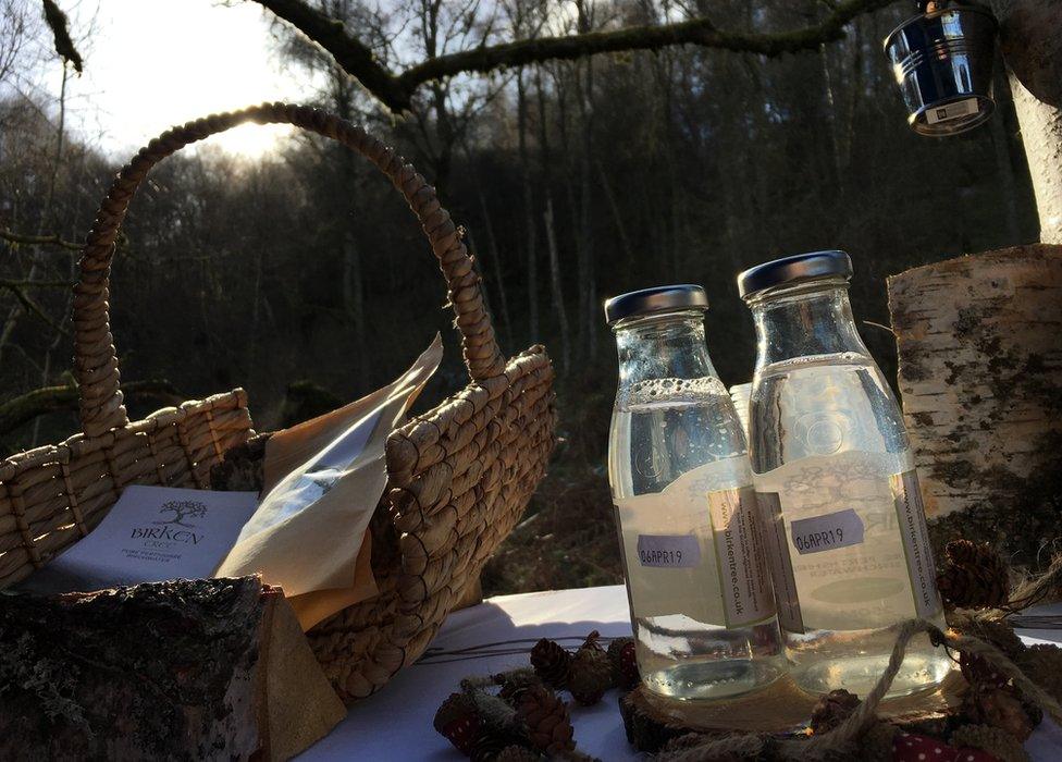 birch water