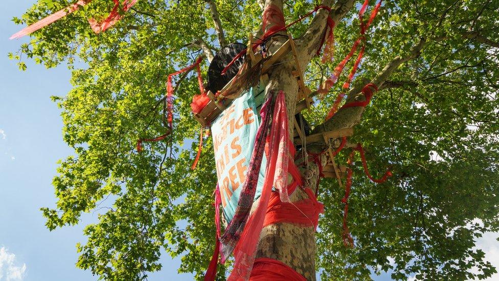 The Happy Man Tree, Hackney, London