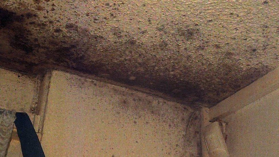 Mould in Awaab Ishak's home