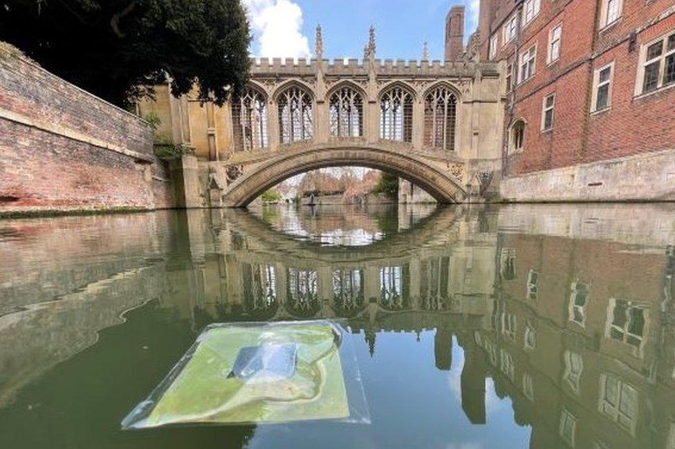 Floating "artificial leaves" on River Cam that generate clean fuels from sunlight and water