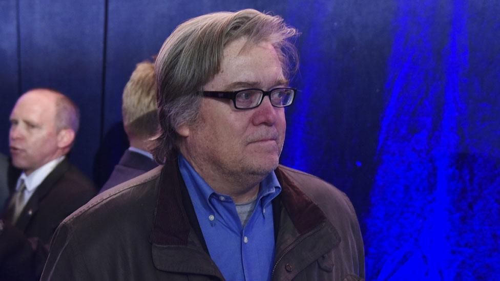 Steve Bannon