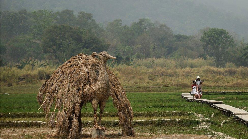 peacock sculpture made of straw