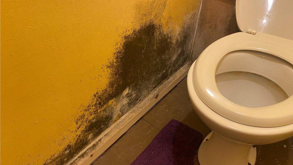 Black mould next to a toilet