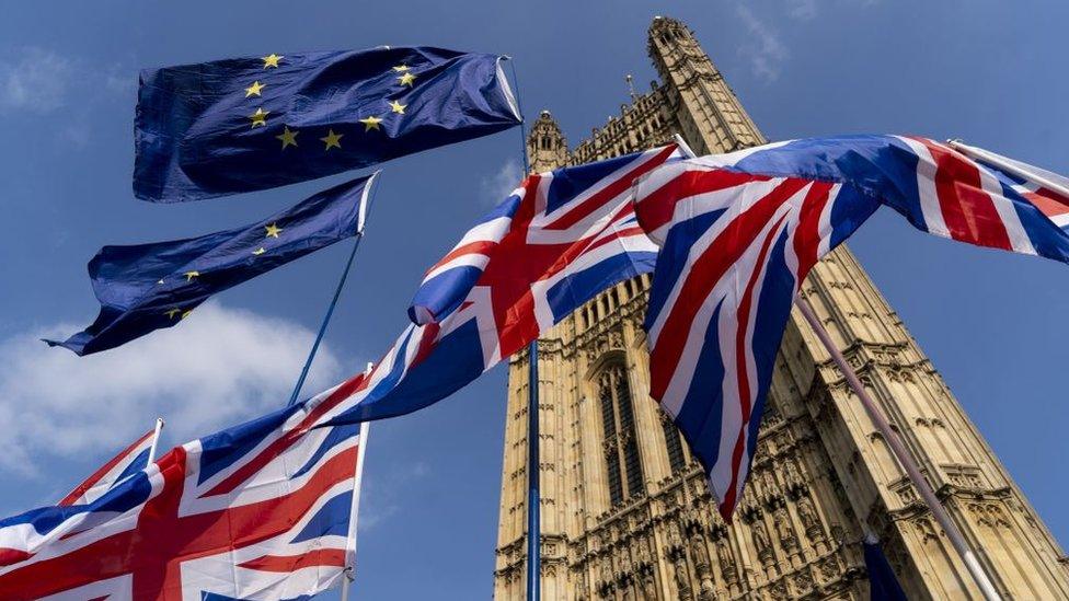 flags-outside-parliament.