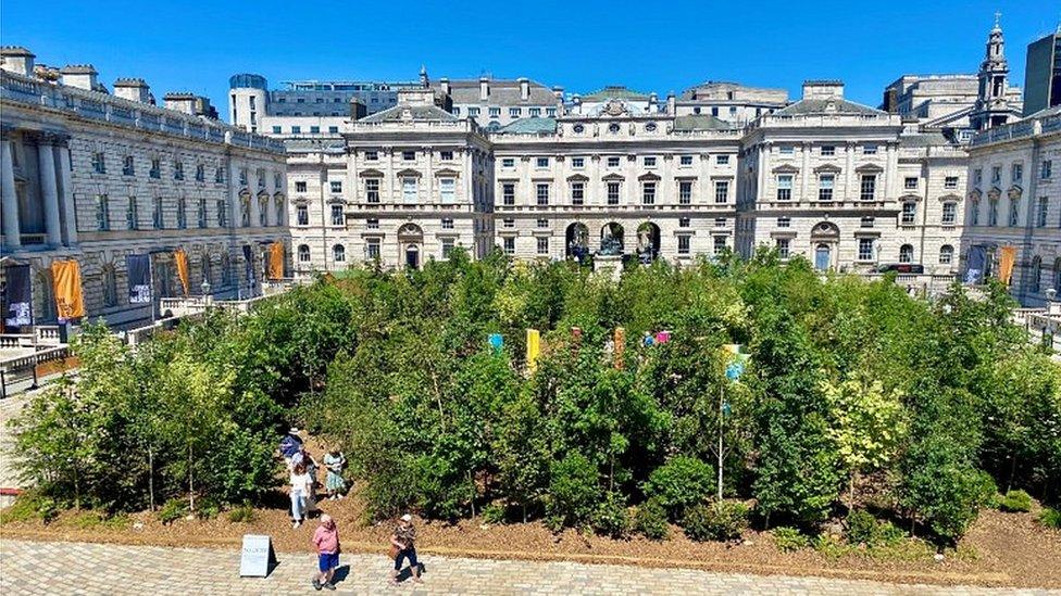 Urban forest in London