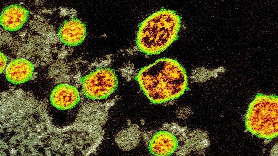 Coronavirus