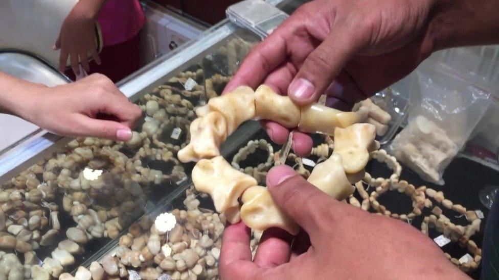 A bracelets made from tiger bones being traded in Myanmar