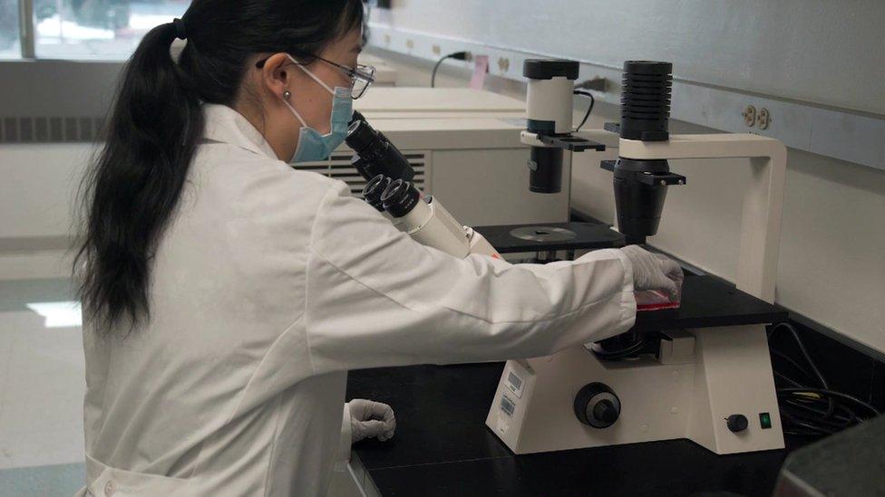 Lab Technician looking through microscope during clinical research testing.