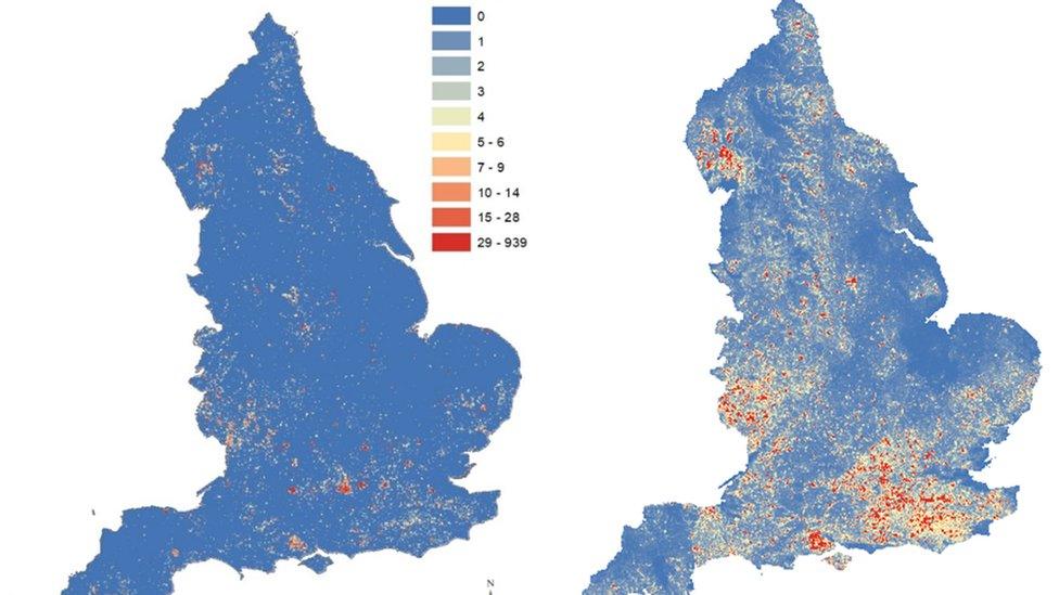 Tree-maps showing how ancient trees could be distributed across England