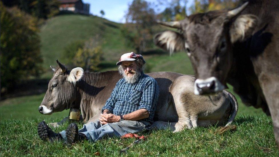 Swiss farmer Armin Capaul poses with one of his cows ahead of the nationwide vote on his initiative on cow horns, near Perrefitte, northern Switzerland