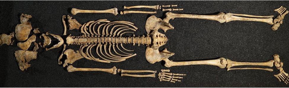 The Lant Street Teenager