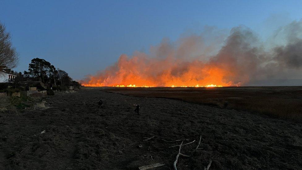 The fire started out small before the flames spread across the marshland, said an eyewitness