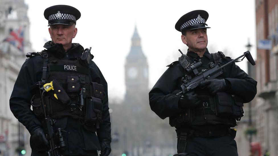 Police at Westminster