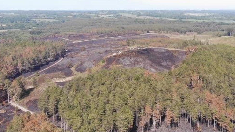 Dorset Police drone image