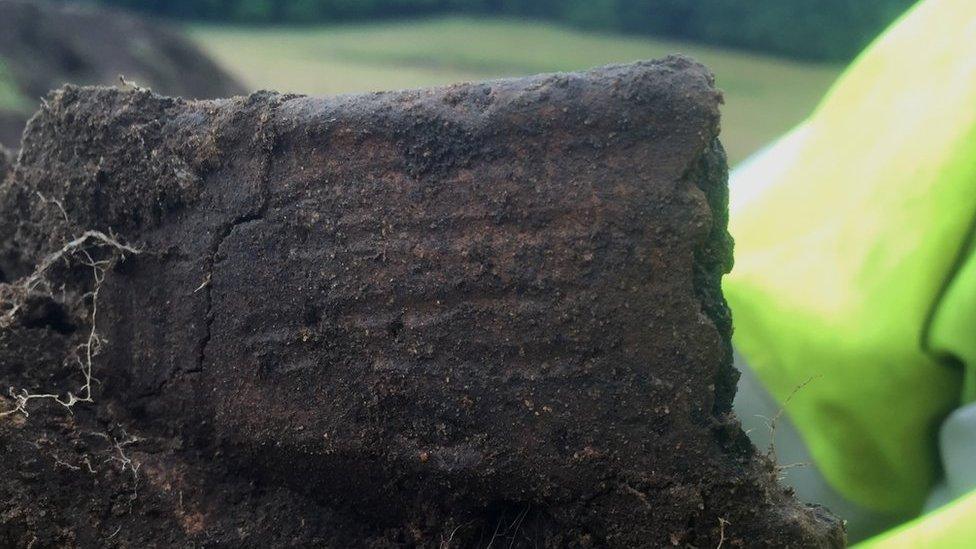 Piece of decorated pottery