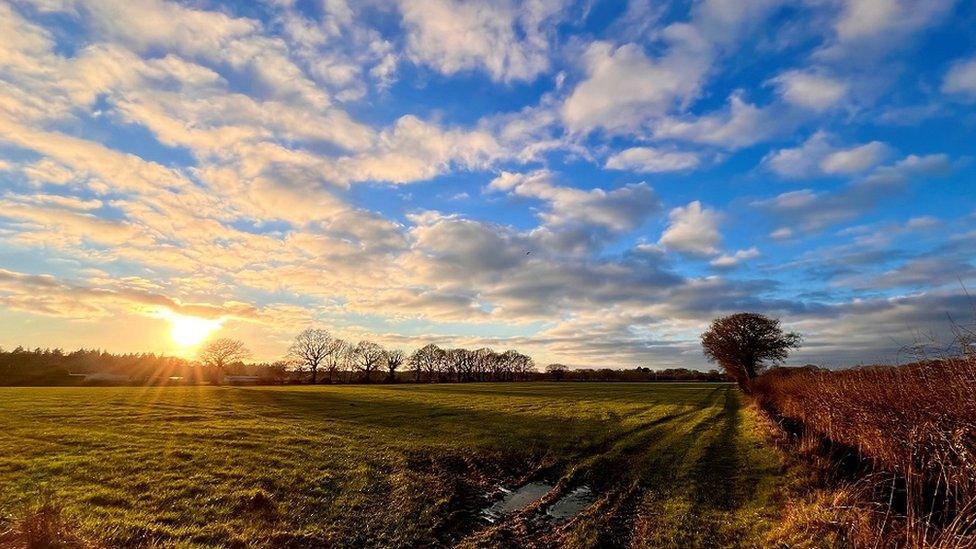 MONDAY - Ashurst Bridge