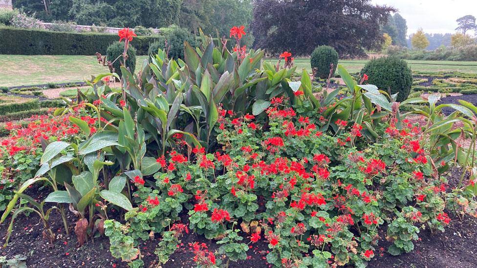 Oxburgh parterre central medallion