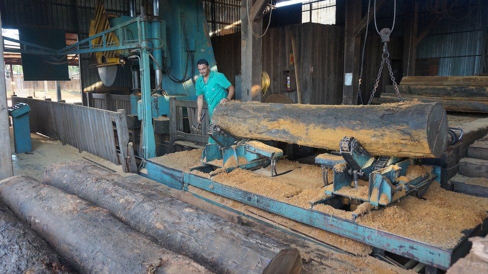 Cutting logs in Mato Grosso (July 2015)